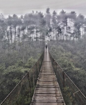 Mexico-instagram-turismo-Cascadas-Paraiso