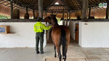 Se trata de 10 predios