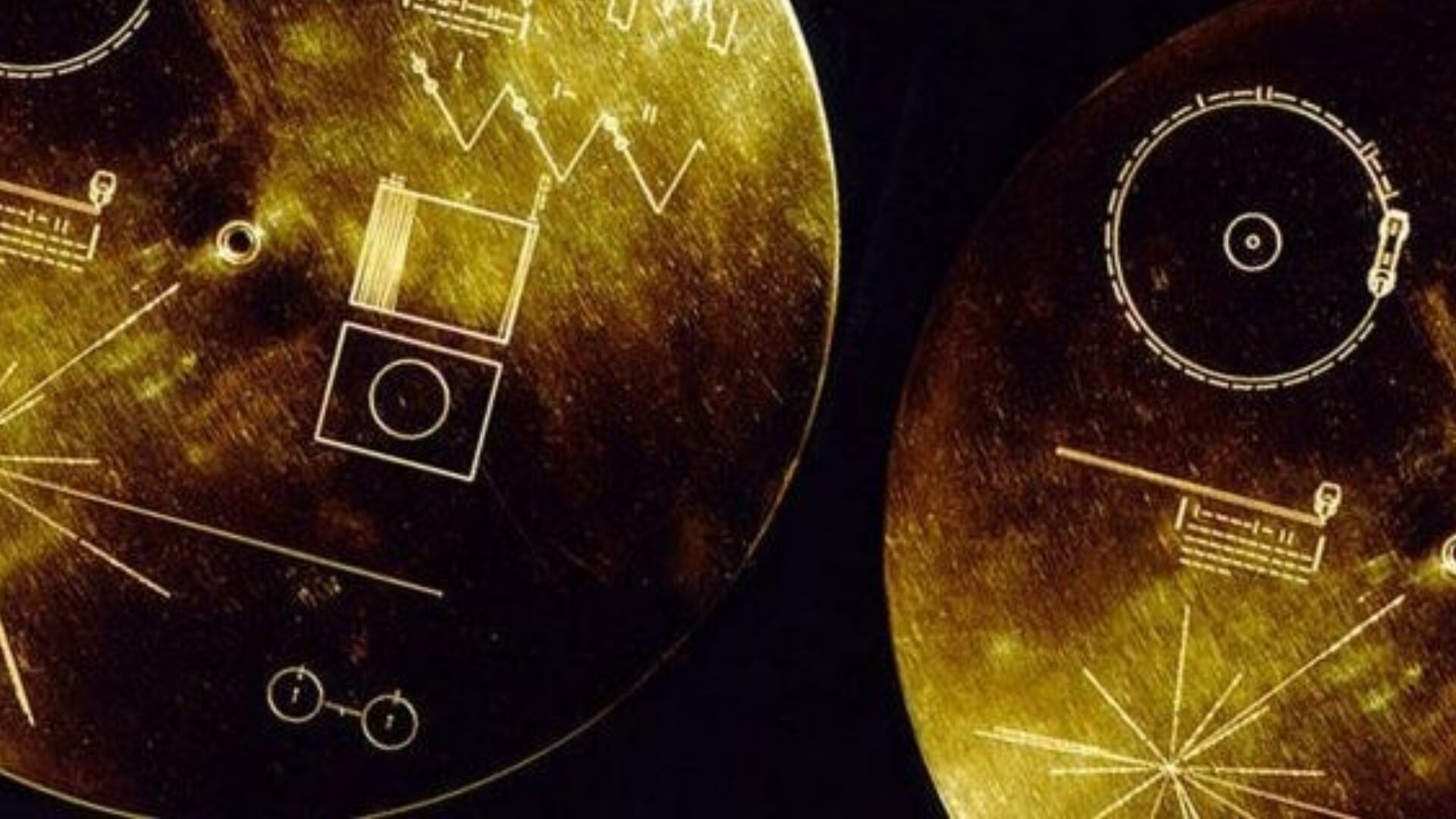 La NASA envió un disco de oro en cada Voyager, extendiendo el eco de la humanidad a través de dibujo y música (NASA)