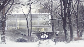 La ciudad de Nueva York