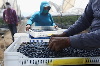 La Secretaría de Economía celebró