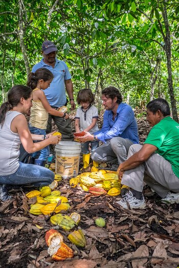 "Mi primera empresa de importación