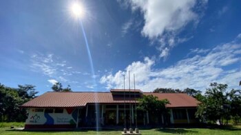 Los ciudadanos de la Selva