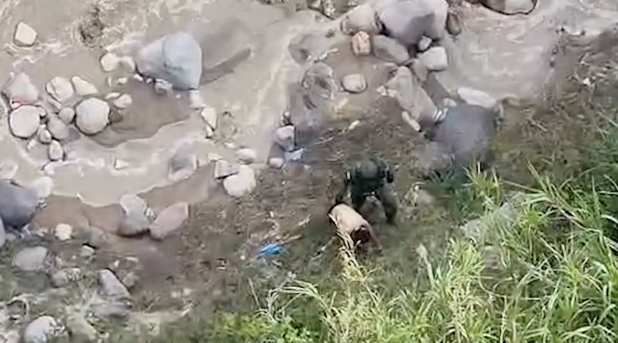La captura se produjo en las laderas del río Agua Caliente, específicamente en el sector de Dique La Cruz, durante la tarde de este miércoles. Crédito: MSP