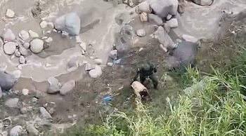 La captura se produjo en las laderas del río Agua Caliente, específicamente en el sector de Dique La Cruz, durante la tarde de este miércoles. Crédito: MSP