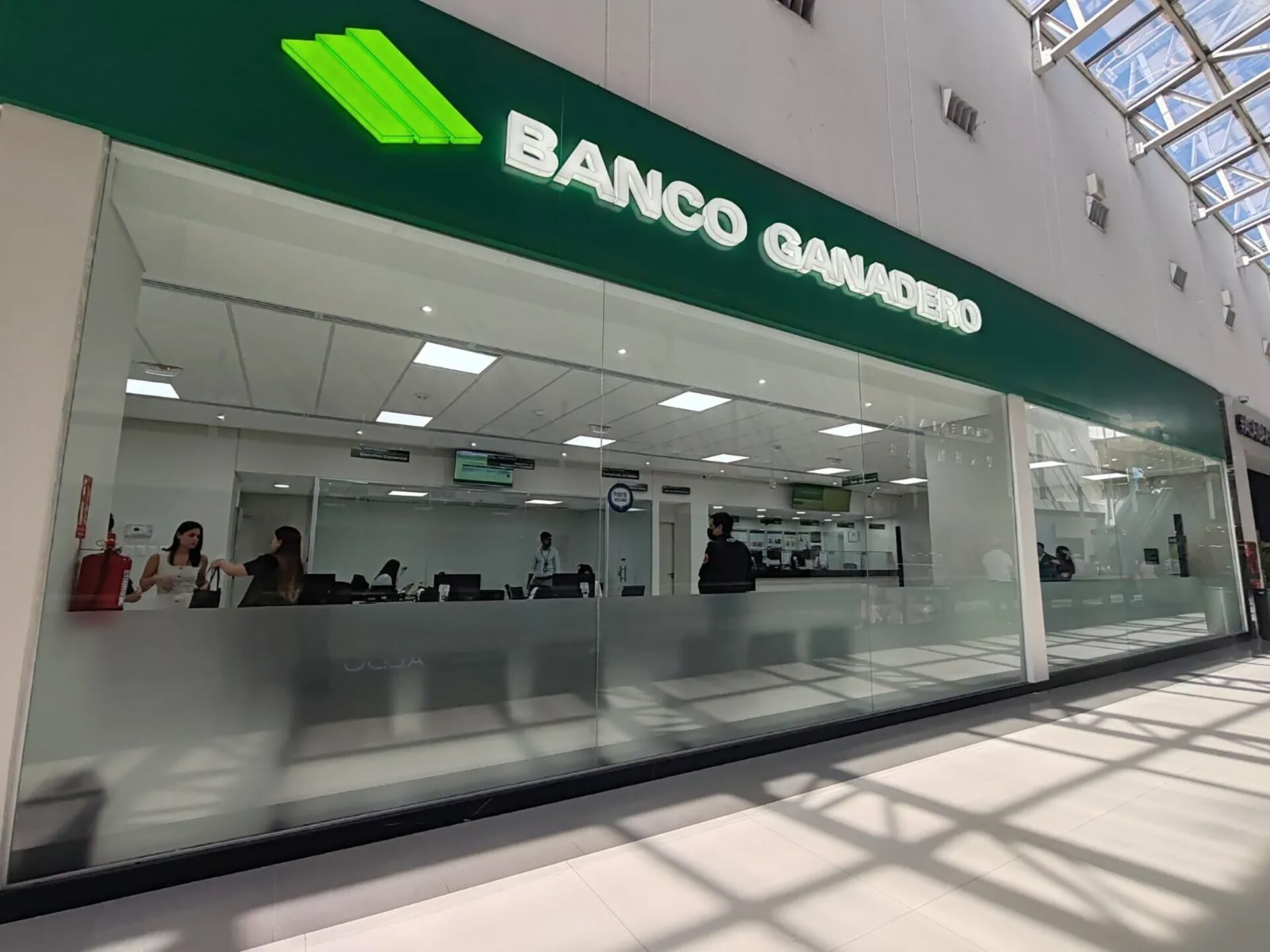 El Banco Ganadero otorgó préstamos millonarios a los hijos del presidente de Bolivia (Foto: Nueva Economía)