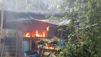 Destruyeron cuatro laboratorios para procesar