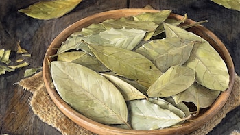 5 beneficios comprobados del laurel para la salud, según la ciencia