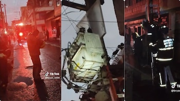 El rescate del animal dejó