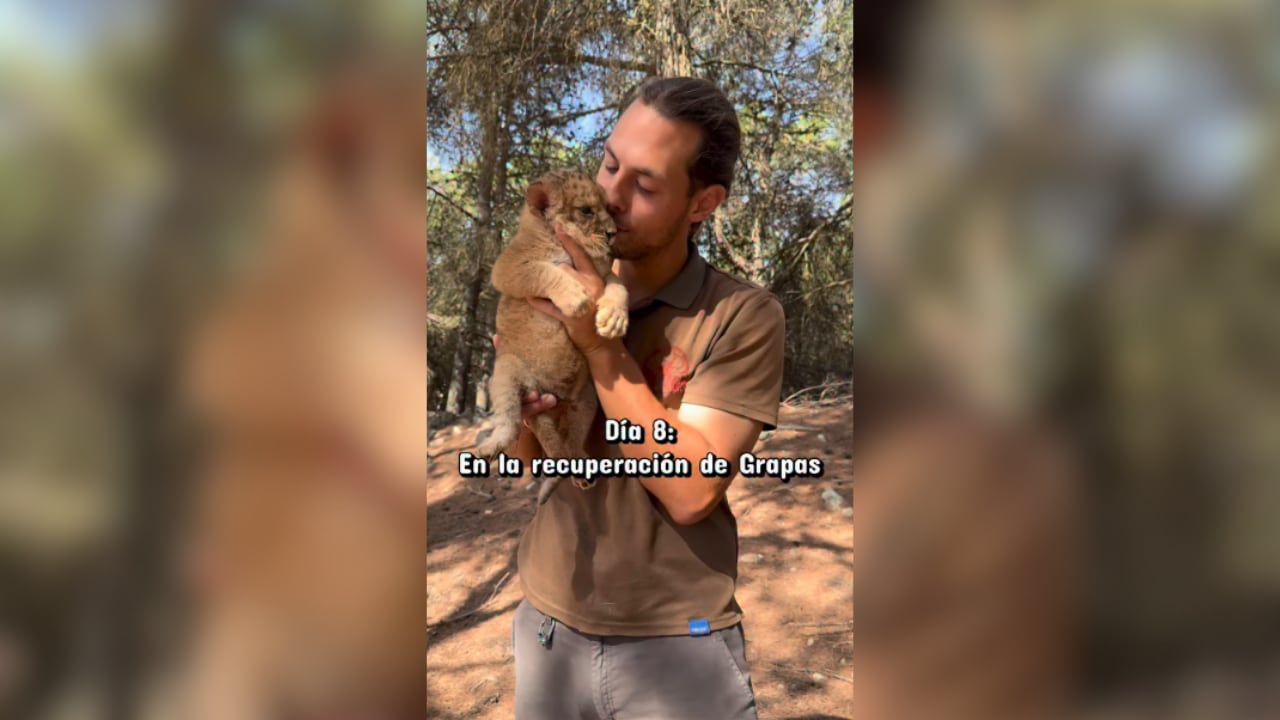 Grapas e Iván en uno de los vídeos publicados en redes sociales. (@safariaitana/Instagram)