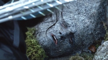 La inesperada revelación de Josh Hutcherson sobre la mítica escena de camuflaje en “Los juegos del hambre”