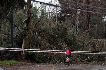 Imagen VCSF2ENKVZFY7IOJG35KH2DVUU