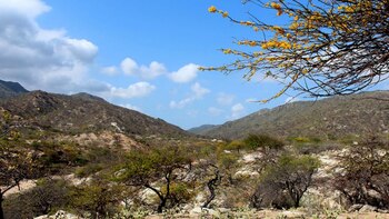 Parque Nacional Natural Macuira. Foto: