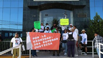 Crean colectivo tras hallazgo de