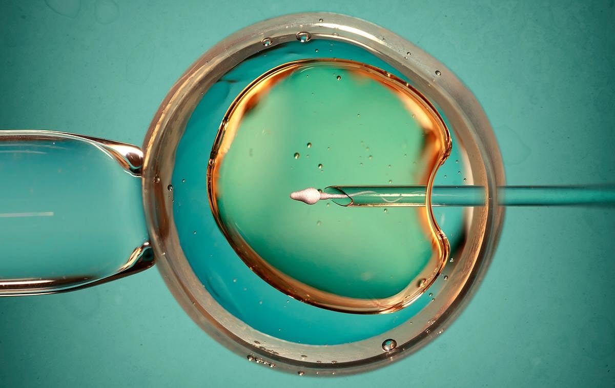 Reseña encuentra pocas pruebas de que los trucos de transferencia de embriones en FIV aumentan el éxito