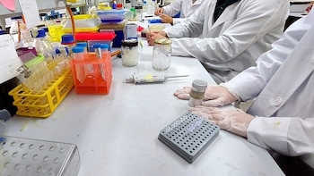 Una universidad de Valencia utilizó cadáveres con enfermedades infecciosas en las prácticas de sus alumnos de Medicina