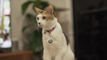 Los localizaedores de gps son