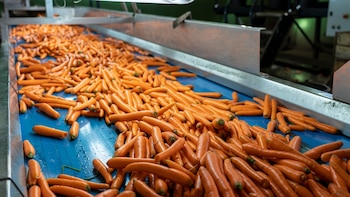 El transporte de hortalizas suma