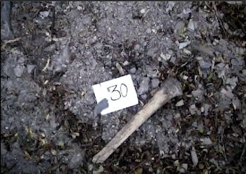 Autoridades de Puebla localizaron los