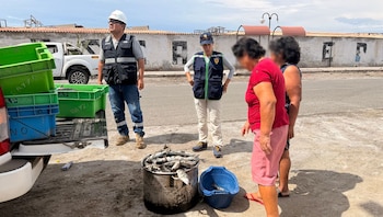 La carga decomisada fue entregada