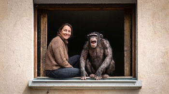 Una mujer sonriente y un chimpancé de boca abierta se sientan en el marco de una ventana de madera con pared rugosa.