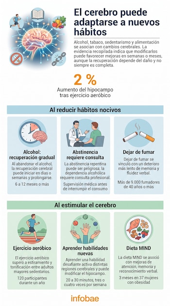 Infografía con ilustraciones de ejercicio, alimentación y tabaco junto a textos explicativos sobre la adaptación del cerebro.