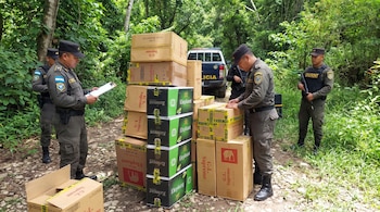 Cuatro policías uniformados inspeccionan cajas de cigarrillos marcadas como evidencia, con un vehículo policial blanco y un denso bosque de fondo.