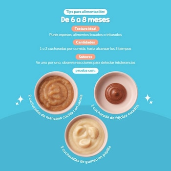 El documento divide esta transición en tres etapas, con ejemplos de papillas, bastones, frutas y comidas caseras para acompañar el desarrollo y ayudar a las familias a organizar cada jornada (Imagen cortesía Ministerio de Salud)