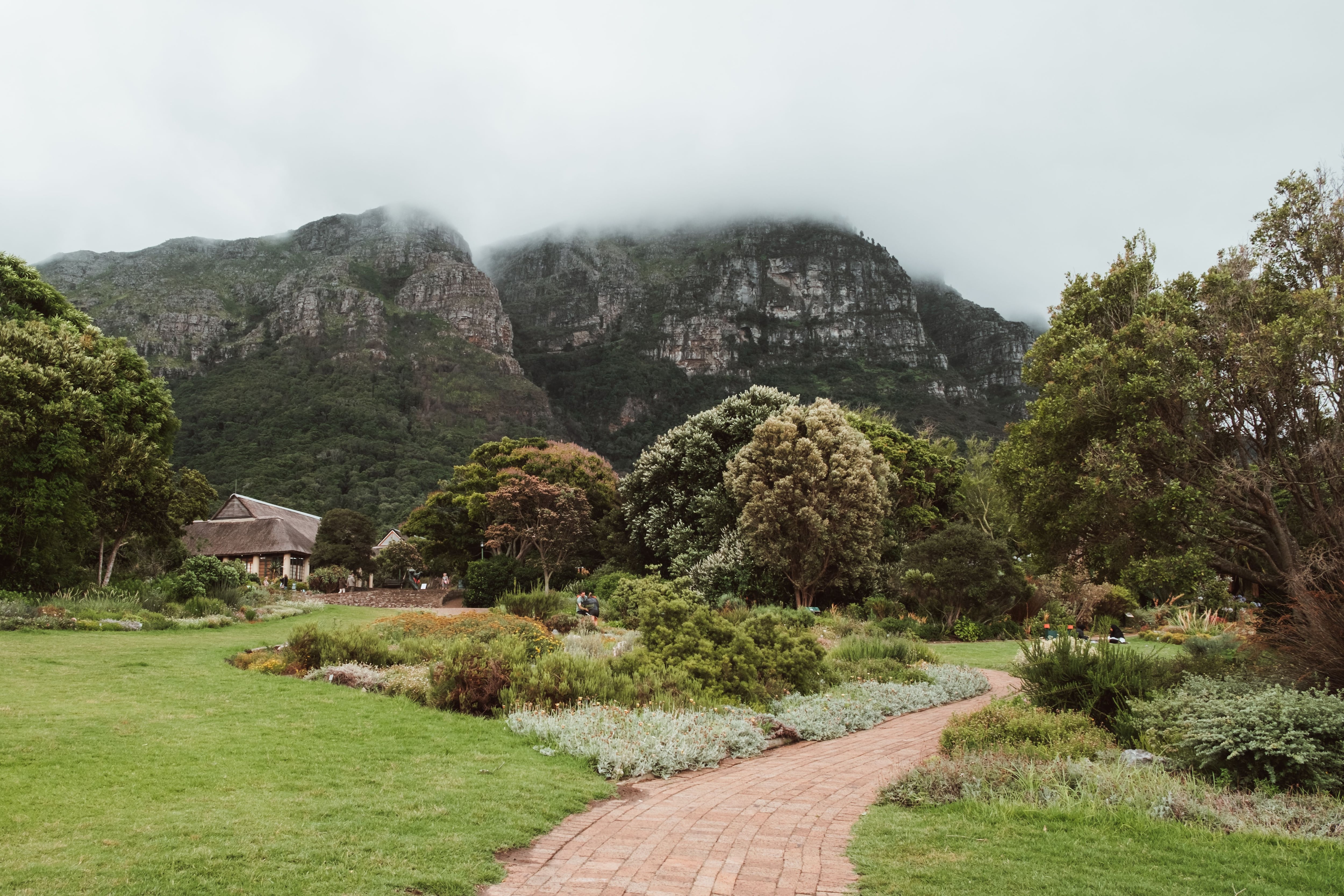 El Jardín Botánico Nacional Kirstenbosch en Ciudad del Cabo, Sudáfrica, ofrece más de 500 hectáreas de especies endémicas africanas a los visitantes
