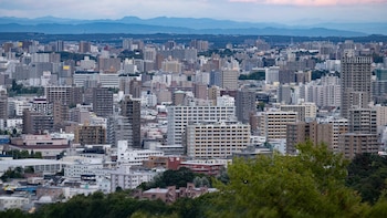 Un nuevo seísmo de magnitud preliminar 6,0 sacude la costa del norte de Japón