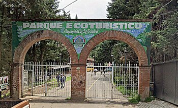 Dentro de su vegetación pueden