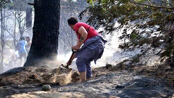 También utilizaron palas para arrojarle