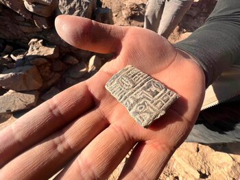 El conjunto incluye seis lajas con felinos fragmentados intencionalmente, una figura antropomorfa, un felino intacto y una cabeza clava con representación de este animal. Difusión