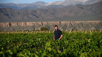 BODEGA COLOME SALTA - Thibaut Delmotte