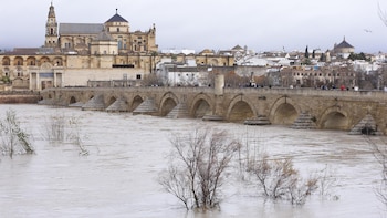 El Ayuntamiento autoriza la recogida