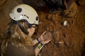 Imagen VEQGFRBZORBGXPSETY4RULO5DE