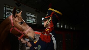 “Al hombre se le asigna