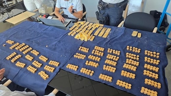 Decenas de monedas doradas apiladas y lingotes de oro sobre una tela azul en una mesa junto a agentes policiales