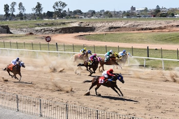 El hipódromo Irineo Leguisamo de Florida (Uruguay) recibirá al papa León XIV (Intendencia de Florida)