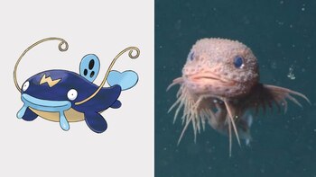 El descubrimiento de una nueva