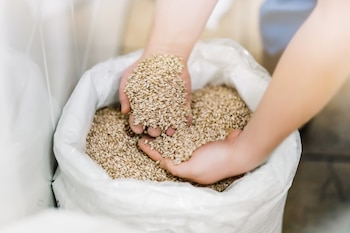 Desde la campaña 2013/14, Argentina
