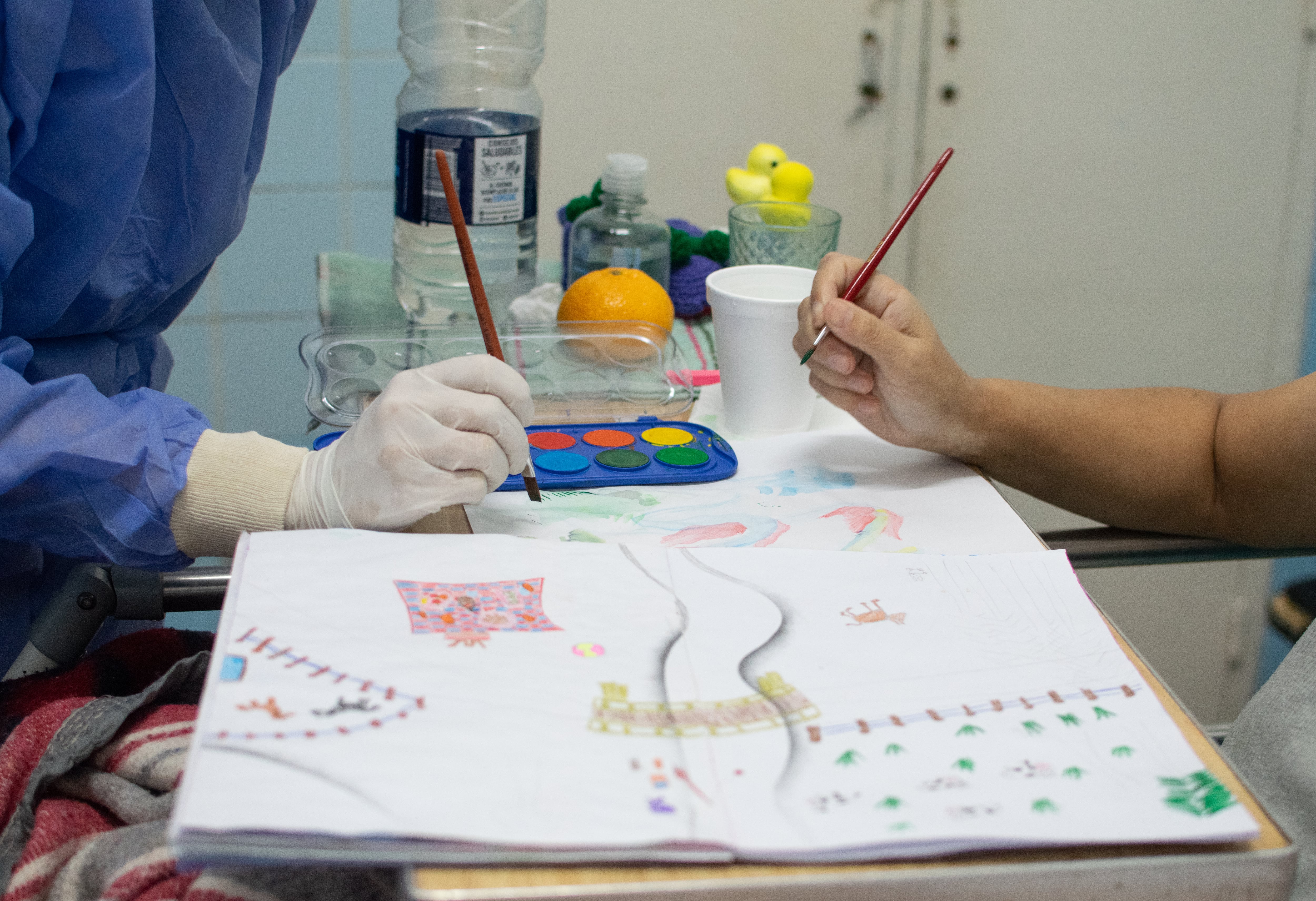 Entre los proyectos en marcha, la ONG trabaja en la expansión del programa Artista de Hospital hacia nuevos centros de salud
