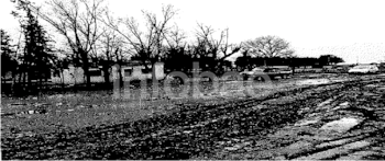 Los alrededores del domicilio ubicado