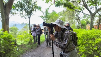 Bogotá prepara jornada de avistamiento de aves para académicos y aficionados, así puede participar