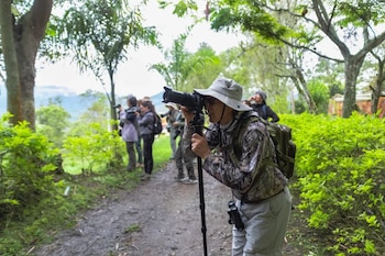 Para poder participar en las actividades es necesario inscribirse en los formularios web - crédito Sociedad Bogotana de Ornitología