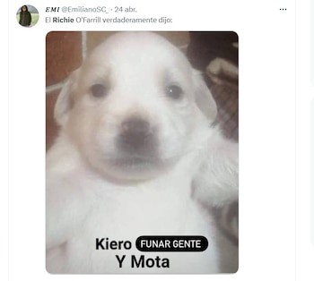 Usuarios en redes sociales reaccionaron