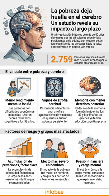 Infografía con el perfil de un hombre, ilustraciones de cerebros, gráficos de barras y secciones de texto sobre pobreza y deterioro cognitivo.