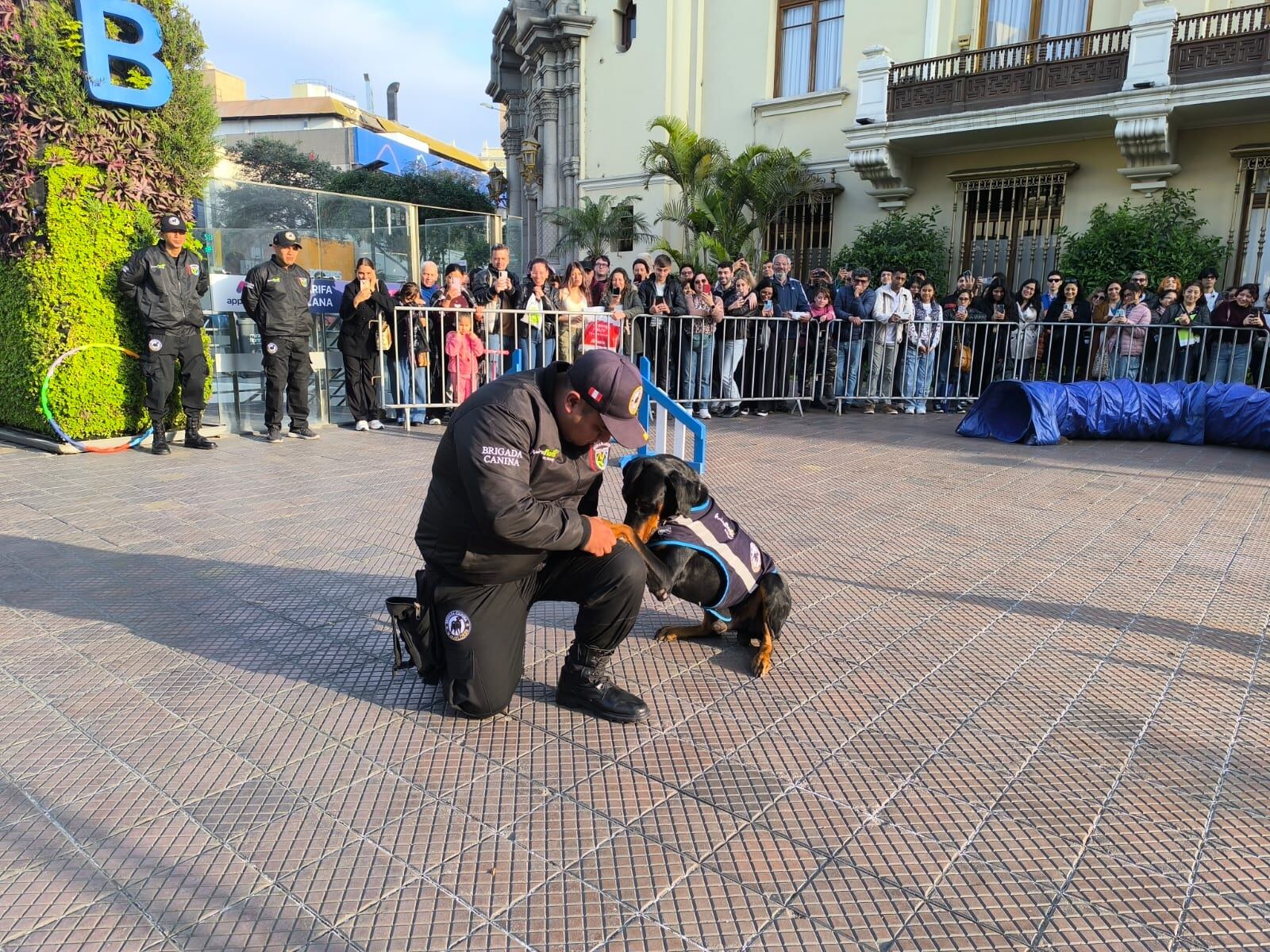 Exhibiciones gratuitas de la Brigada Canina de Miraflores cautivan el parque Kennedy - Miraflores
