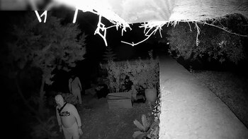 La banda entrando a una