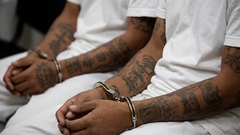 El Salvador: Condena a 53 integrantes de la MS-13 por homicidios, extorsión y drogas